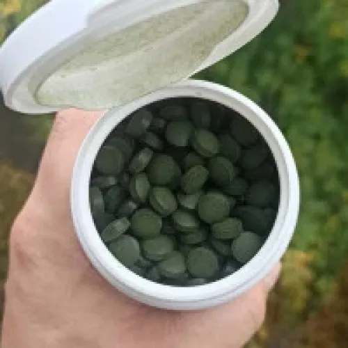 Chlorella BIO – detoksykacja i odporność – 80 g